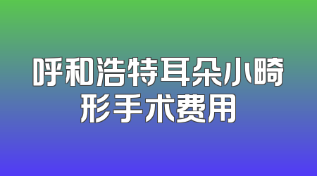 呼和浩特耳朵小畸形手术费用