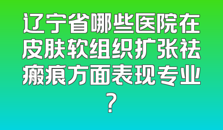 辽宁省哪些医院在皮肤软组织扩张祛瘢痕方面表现专业？