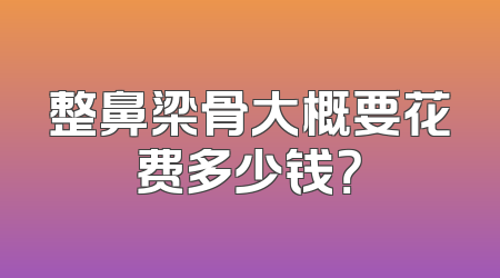 整鼻梁骨大概要花费多少钱？