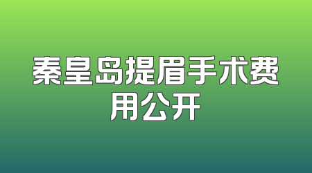 秦皇岛提眉手术费用公开