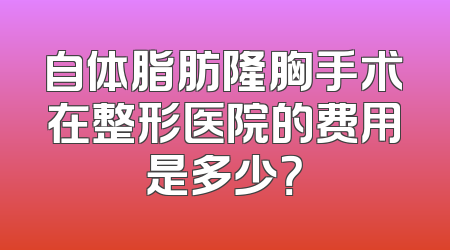 自体脂肪隆胸手术在整形医院的费用是多少？