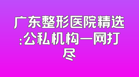 广东整形医院精选：公私机构一网打尽