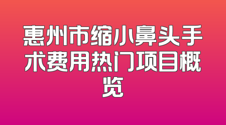 惠州市缩小鼻头手术费用热门项目概览