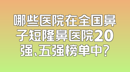 哪些医院在全国鼻子短隆鼻医院20强、五强榜单中？