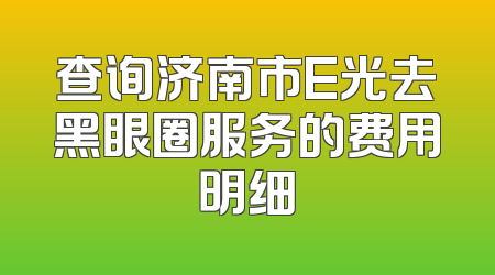 查询济南市E光去黑眼圈服务的费用明细