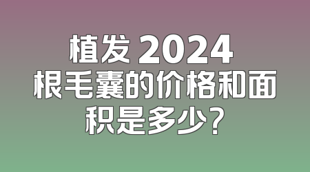 植发 2024 根毛囊的价格和面积是多少？
