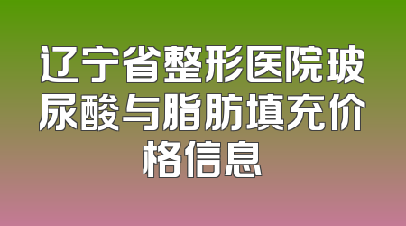 辽宁省整形医院玻尿酸与脂肪填充价格信息