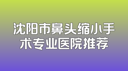 沈阳市鼻头缩小手术专业医院推荐