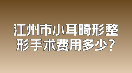 江州市小耳畸形整形手术费用多少？
