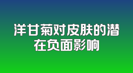 洋甘菊对皮肤的潜在负面影响