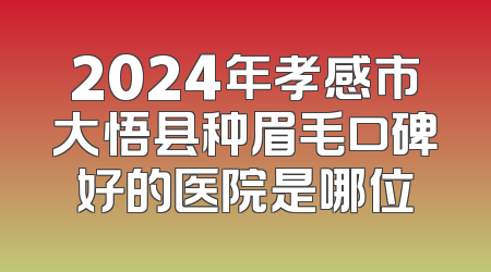 2024年孝感市大悟县种眉毛口碑好的医院是哪位
