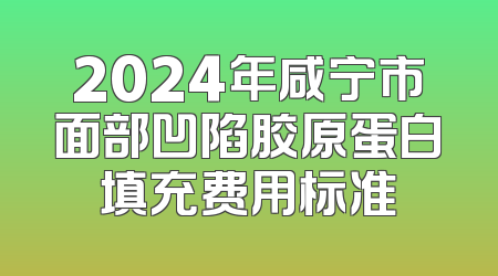 2024年咸宁市面部凹陷胶原蛋白填充费用标准