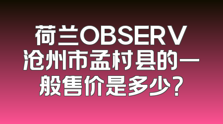 荷兰OBSERV沧州市孟村县的一般售价是多少？