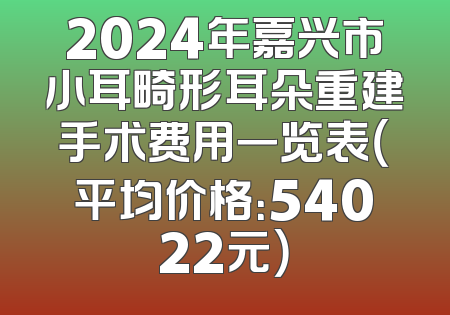 2024年嘉兴市小耳畸形耳朵重建手术费用一览表（平均价格：54022元）