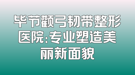 毕节颧弓韧带整形医院：专业塑造美丽新面貌