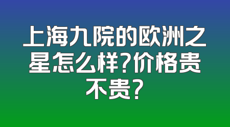 上海九院的欧洲之星怎么样？价格贵不贵？