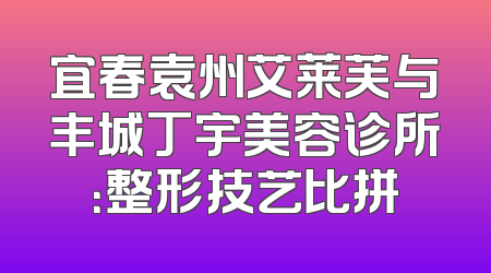 宜春袁州艾莱芙与丰城丁宇美容诊所：整形技艺比拼