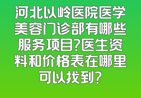 河北以岭医院医学美容门诊部有哪些服务项目？医生资料和价格表在哪里可以找到？