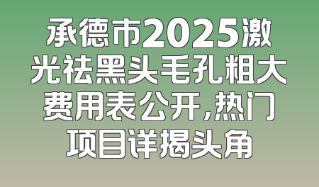 承德市2025激光祛黑头毛孔粗大费用表公开，热门项目详揭头角