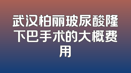 武汉柏丽玻尿酸隆下巴手术的大概费用