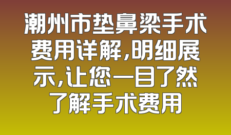 潮州市垫鼻梁手术费用详解，明细展示，让您一目了然了解手术费用