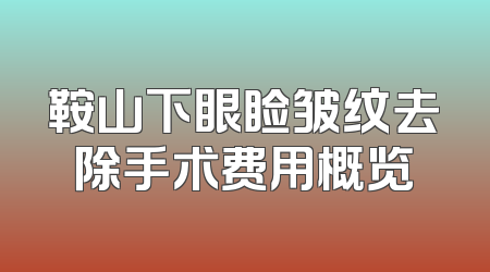 鞍山下眼睑皱纹去除手术费用概览