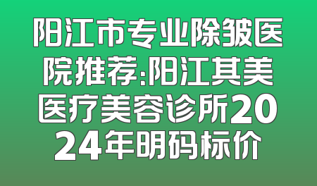阳江市专业除皱医院推荐：阳江其美医疗美容诊所2024年明码标价