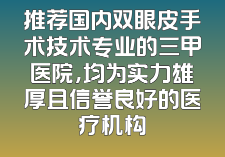 推荐国内双眼皮手术技术专业的三甲医院，均为实力雄厚且信誉良好的医疗机构