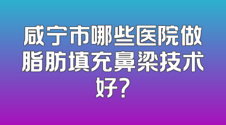咸宁市哪些医院做脂肪填充鼻梁技术好？