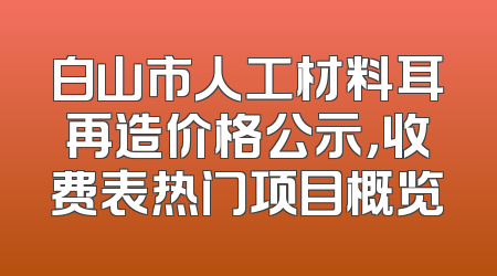 白山市人工材料耳再造价格公示，收费表热门项目概览