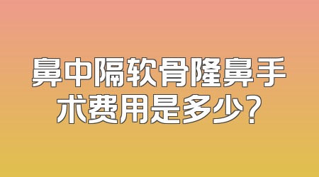 鼻中隔软骨隆鼻手术费用是多少？