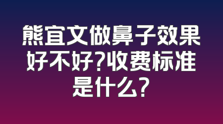 熊宜文做鼻子效果好不好？收费标准是什么？