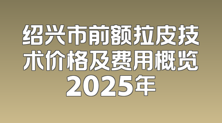 绍兴市前额拉皮技术价格及费用概览2025年