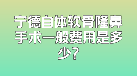 宁德自体软骨隆鼻手术一般费用是多少？