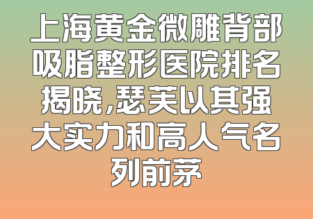 上海黄金微雕背部吸脂整形医院排名揭晓，瑟芙以其强大实力和高人气名列前茅