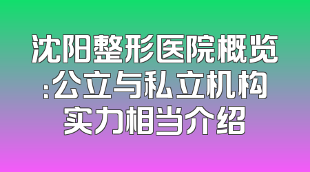 沈阳整形医院概览：公立与私立机构实力相当介绍