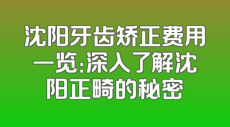 沈阳牙齿矫正费用一览：深入了解沈阳正畸的秘密