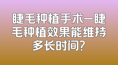 睫毛种植手术_睫毛种植效果能维持多长时间？