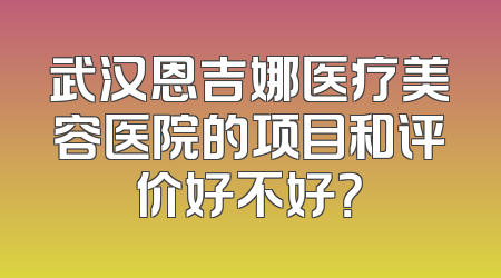 武汉恩吉娜医疗美容医院的项目和评价好不好？