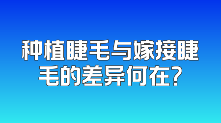 种植睫毛与嫁接睫毛的差异何在？