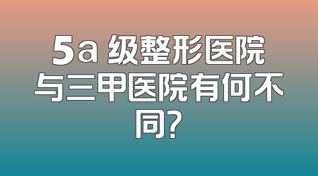5a 级整形医院与三甲医院有何不同？