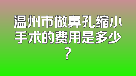 温州市做鼻孔缩小手术的费用是多少？
