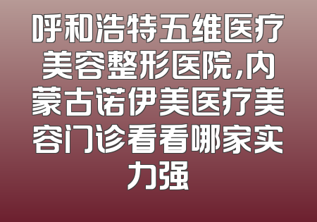 呼和浩特五维医疗美容整形医院，内蒙古诺伊美医疗美容门诊看看哪家实力强