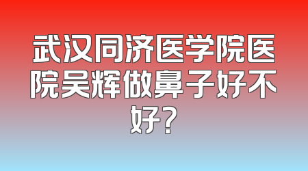 武汉同济医学院医院吴辉做鼻子好不好？