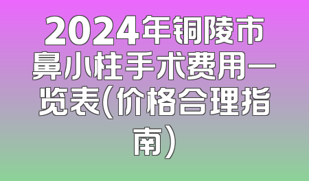 2024年铜陵市鼻小柱手术费用一览表（价格合理指南）