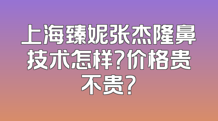 上海臻妮张杰隆鼻技术怎样？价格贵不贵？
