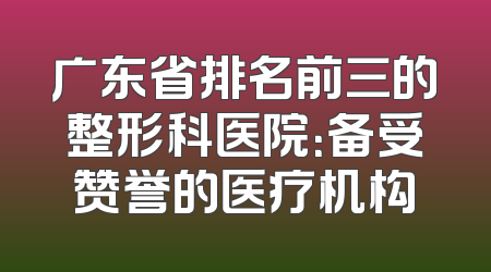 广东省排名前三的整形科医院：备受赞誉的医疗机构