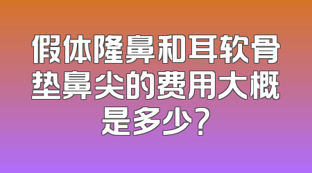 假体隆鼻和耳软骨垫鼻尖的费用大概是多少？
