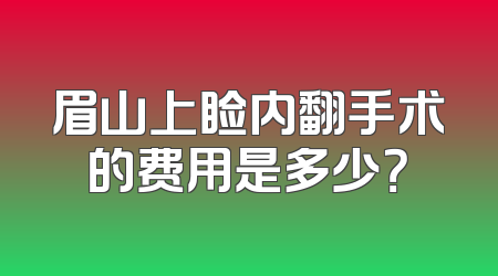 眉山上睑内翻手术的费用是多少？