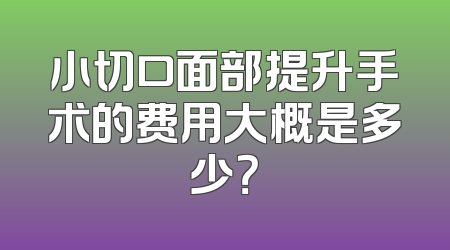 小切口面部提升手术的费用大概是多少？